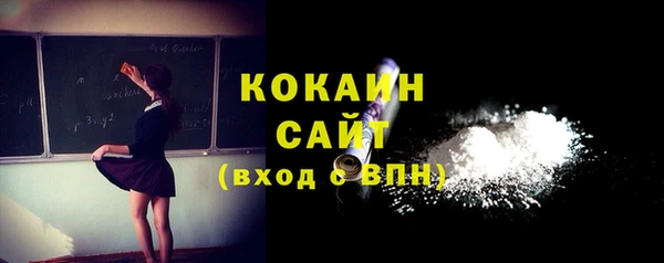 ешки Алексин