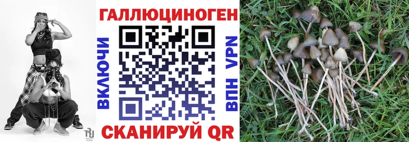 ОМГ ОМГ рабочий сайт  Серов  Галлюциногенные грибы мицелий  продажа наркотиков 