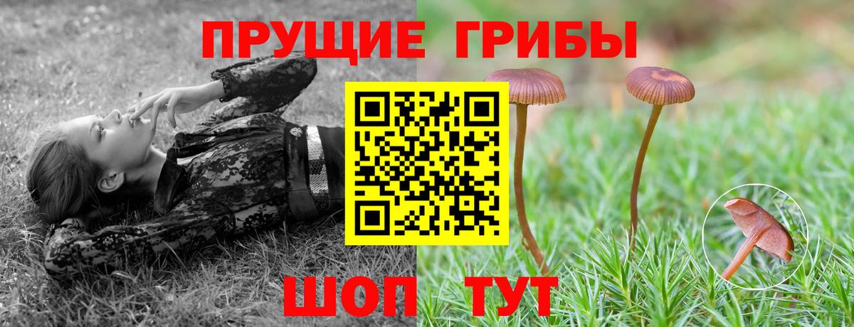 Галлюциногенные грибы Psilocybe  Галлюциногенные грибы Cubensis  Серов  Вход с VPN 